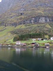 Ligne de Flåm