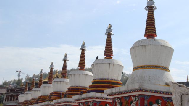 塔爾寺+青海湖+拉脊山+日月山一日遊【包車遊•可上門接駁】