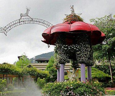 Tai Yi Ecological Leisure Farm Attractions Nantou Travel Review 24 Feb 15travel Guide Trip Com