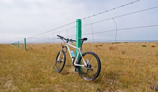 Cycling in Qinghaihu