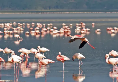 Nakuru County