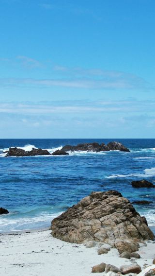 蒙特雷半島+17里灣 一日遊【12人精品小團】（中英文團）