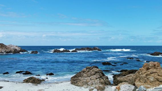 モントレー半島+17マイルドライブ ワンデーツアー【12名様限定のプレミアム少人数ツアー】