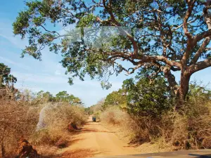 Yala-Nationalpark