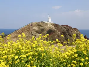 Seopjikoji