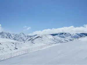 天山天池国際スキー場