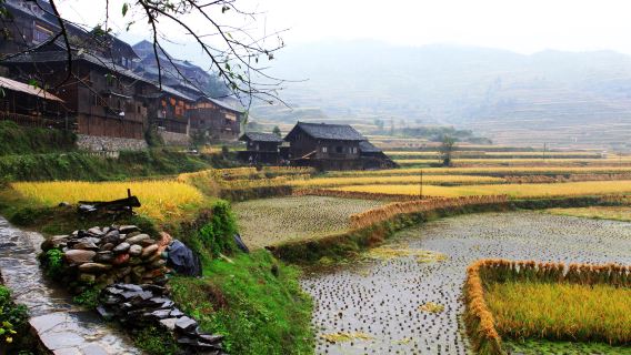 Private Day Tour from Guiyang to Xijiang Thousand Household Miao Village and Xijiang Night View