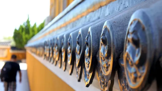 舟山市普陀山風景區-紫竹林