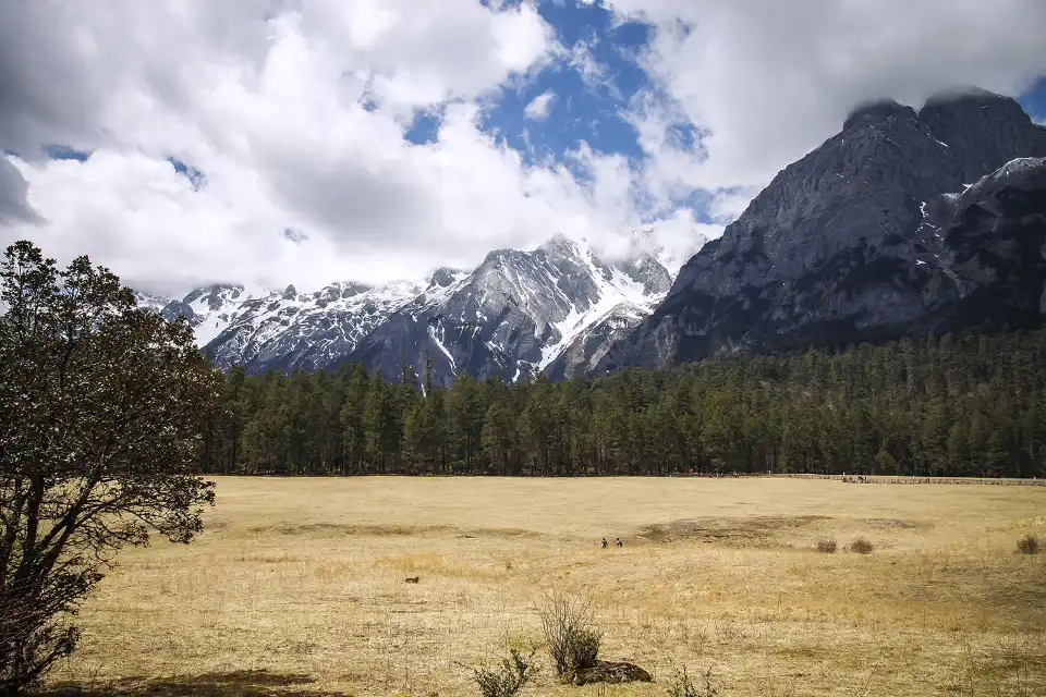 2_Spruce Meadow