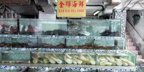 長洲北社海傍路