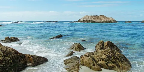 蒙特雷1日遊（逢星期五及星期日出發）