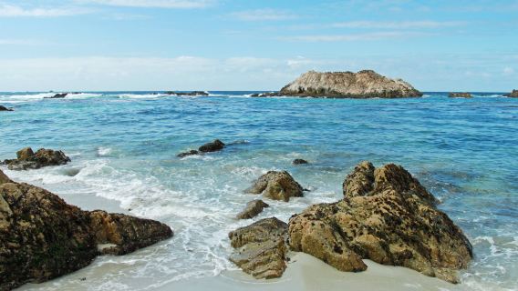 Perjalanan Satu Hari Monterey (Berangkat pada Hari Jumat dan Minggu)