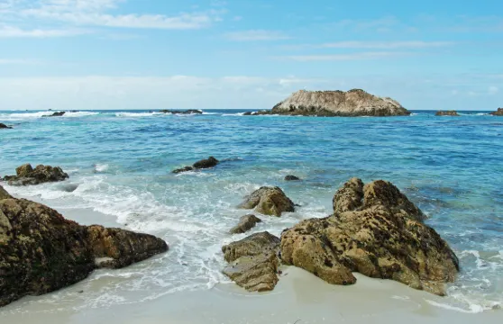 蒙特雷1日遊(逢星期五及星期日出發)