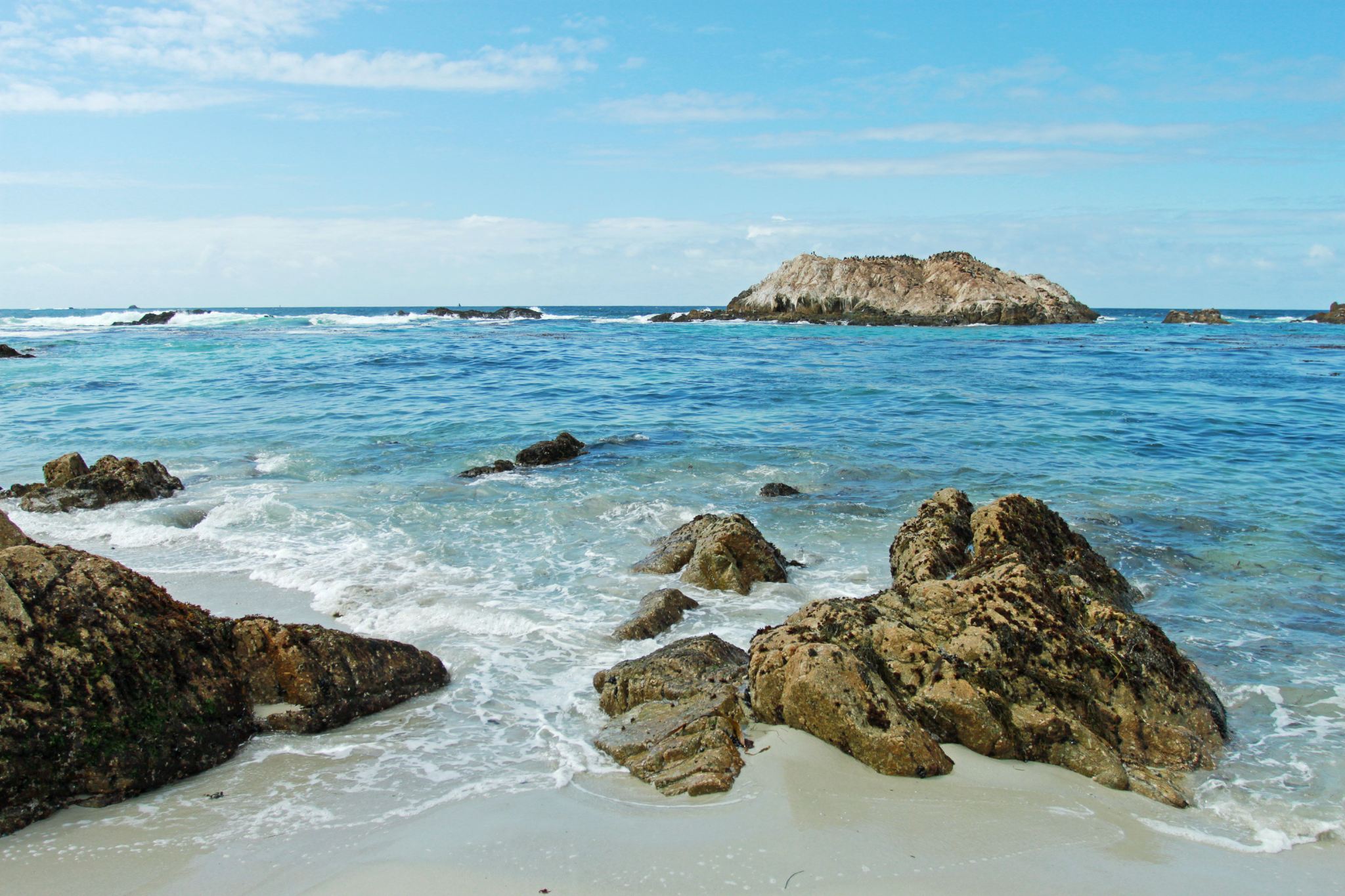 Monterey 1-Day Tour(Departing on Fridays and Sundays)