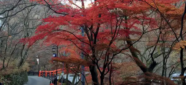 Hotéis com Parking em Gunma Prefecture, Japan