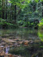 小龍湫