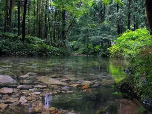 小龍湫