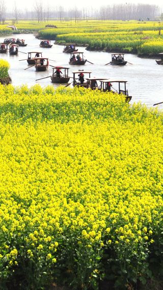 2人起私家團千垛景區李中公園一日遊揚州泰州南京鎮江上門接送