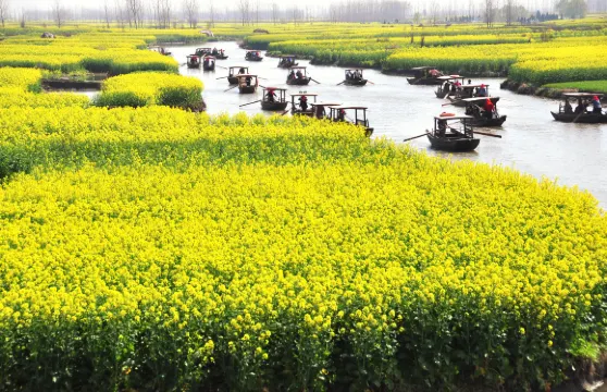 2人起私家團千垛景區李中公園一日遊揚州泰州南京鎮江上門接送