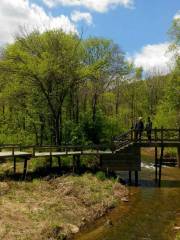 Heilongjiang Qingshan National Forest Park