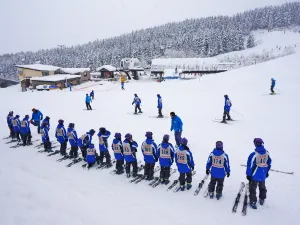 比羅夫滑雪場
