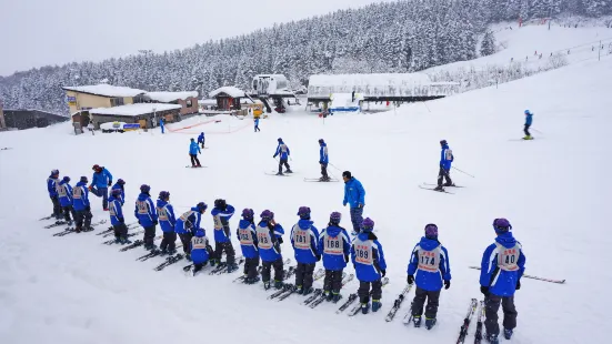 比羅夫滑雪場