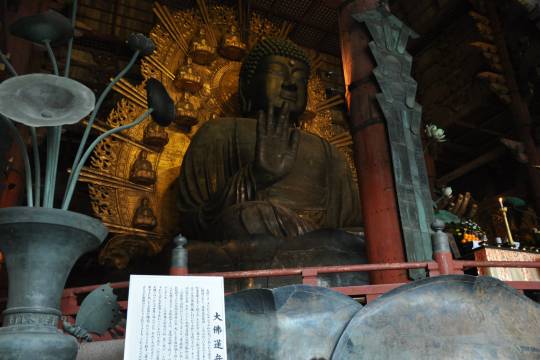 Osaka Aquarium + Universal Studios Japan + Nara Park + Todaiji Temple Day Trip