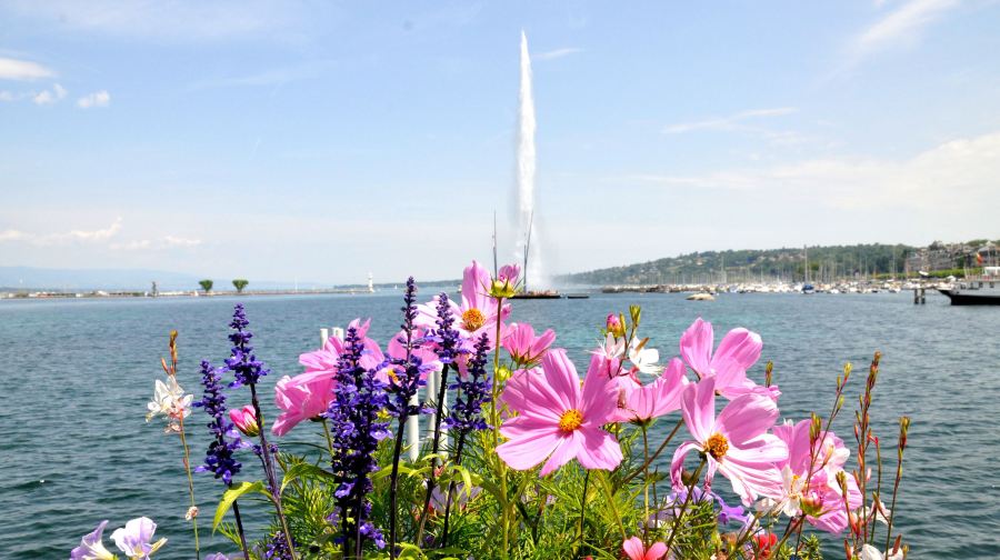 瑞士洛桑歷史博物館+奧林匹克博物館+洛桑大教堂+日內瓦湖