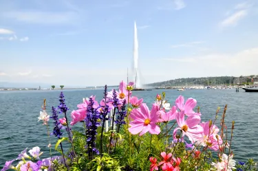 Canton of Geneva