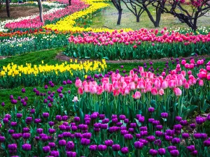 Botanischer Garten Peking