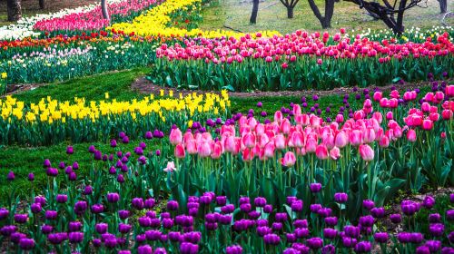 Beijing Botanical Garden