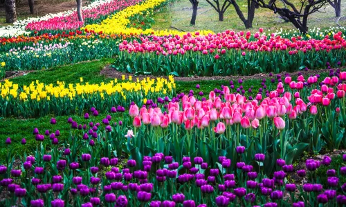 China National Botanical Garden