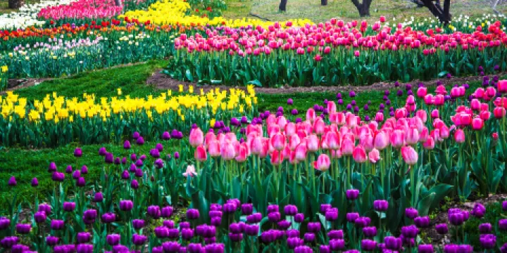 國家植物園(原北京植物園)