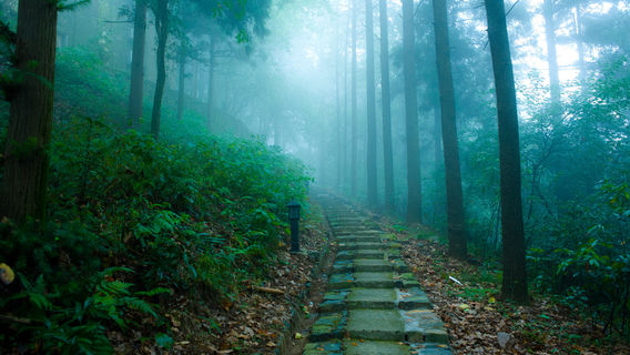 HangzhouTours