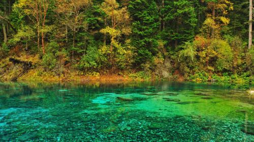 Colorful Pond