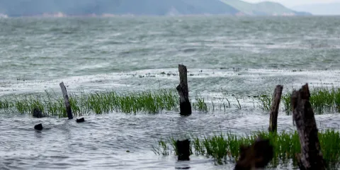 大理當地導遊服務，中英文多語種導遊，一對一講解，歷史文化美景風俗