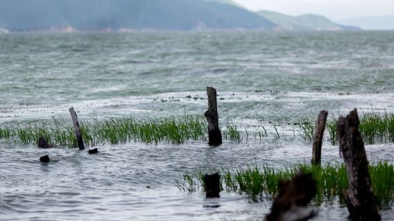 Услуги местного гида в Дали, экскурсии с гидом на китайском и английском языках, индивидуальные экскурсии с гидом, история, культура, красивые пейзажи и обычаи