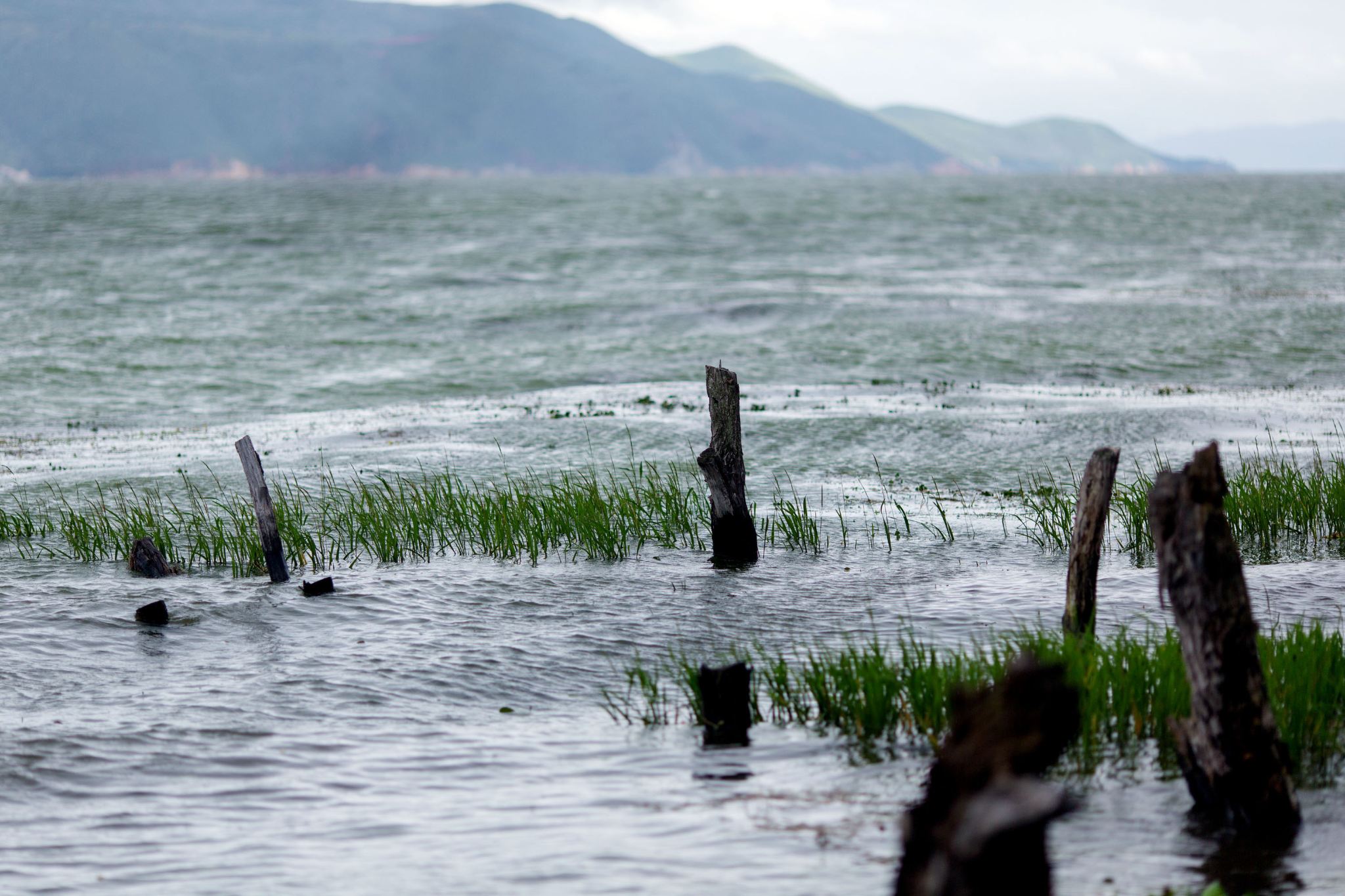 대리 현지 가이드 서비스, 중영 다국어 가이드, 1대1 해설, 역사 문화 아름다운 풍경 풍습