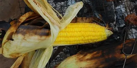 好年華蛋糕城