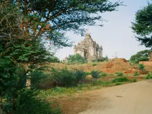 วัดธัตปินยู พญา