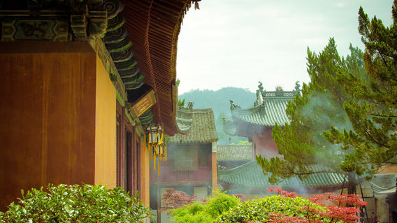 天台