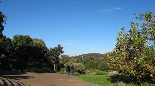 Kirstenbosch National Botanical Garden