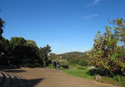 Kirstenbosch National Botanical Garden