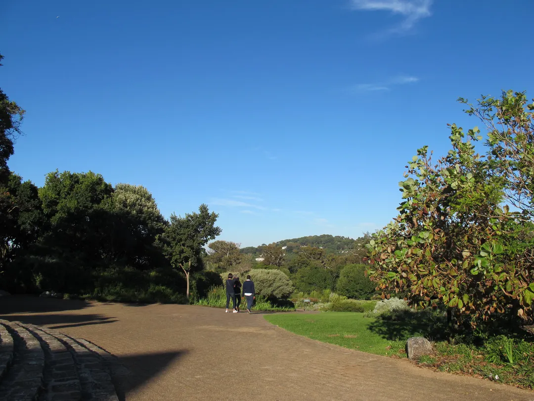 3_Kirstenbosch National Botanical Garden