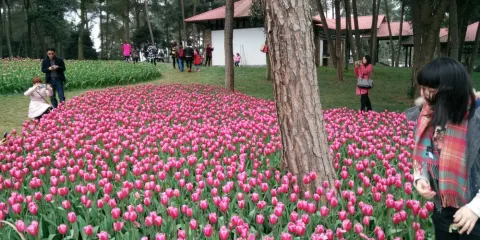 石象寺