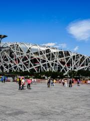 Bird's Nest (National Stadium)