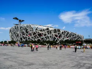 National Stadium-Bird's Nest