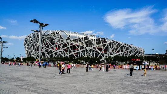 Bird's Nest (National Stadium)