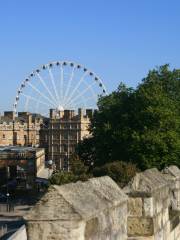 York City Walls