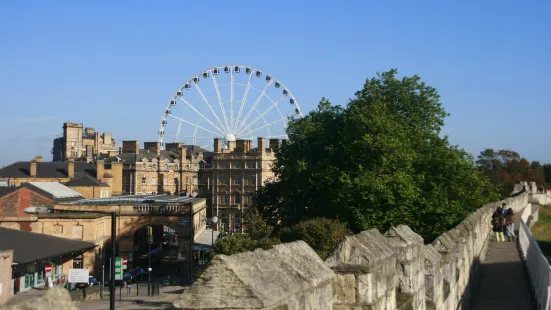 York City Walls